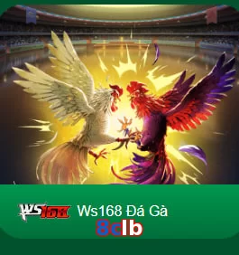 8clb